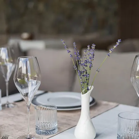 Marion & - Renovation - Rooms, Area, Swimming Pool, Reception, Restaurant, Lounge Bar, Hookah Bar, Children's Room, Parking, And Breakfast Included In The Price Hotel 4*